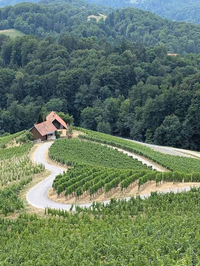 How a Curated Itinerary Changes Everything